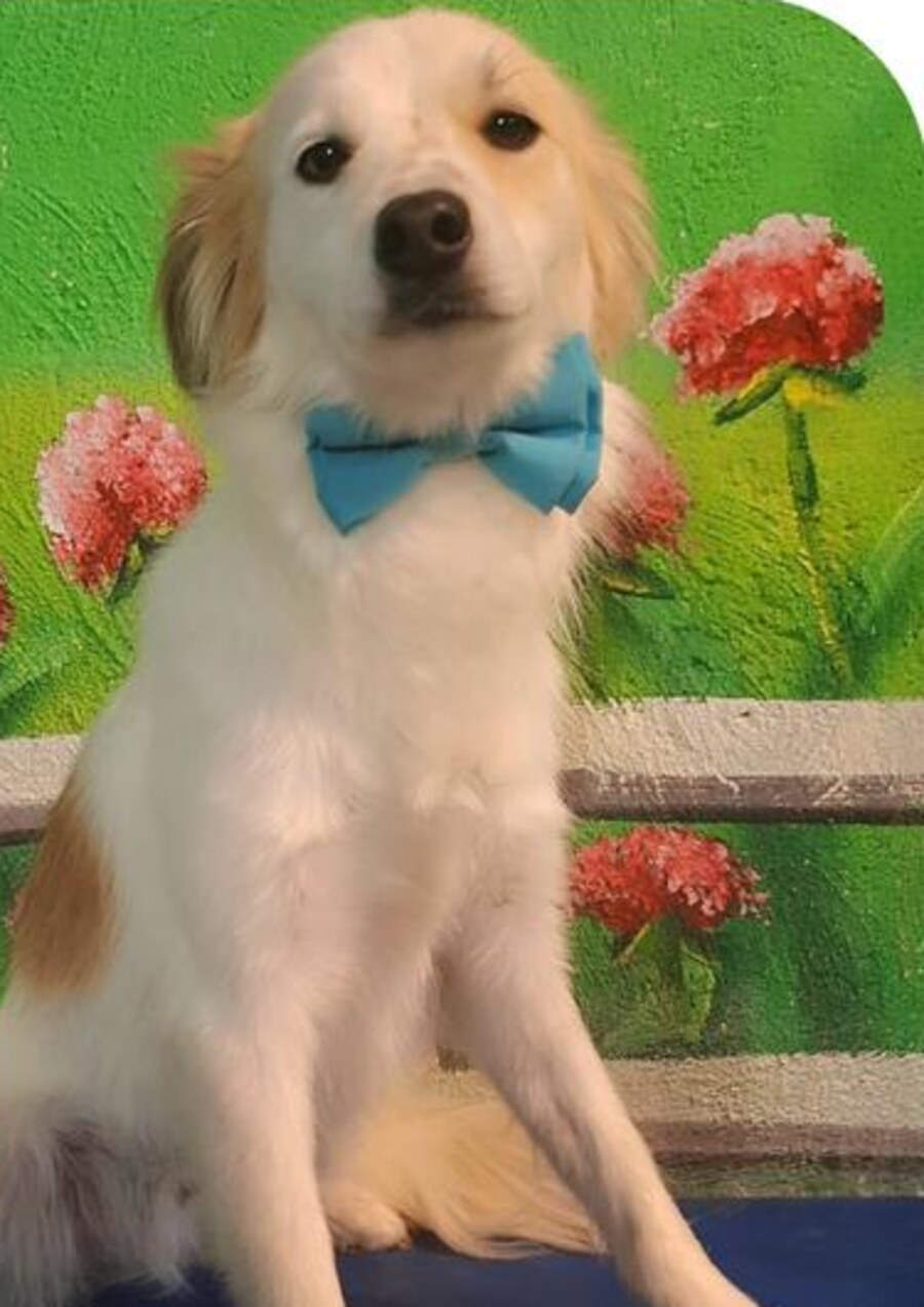 Alvin — weiteres Foto