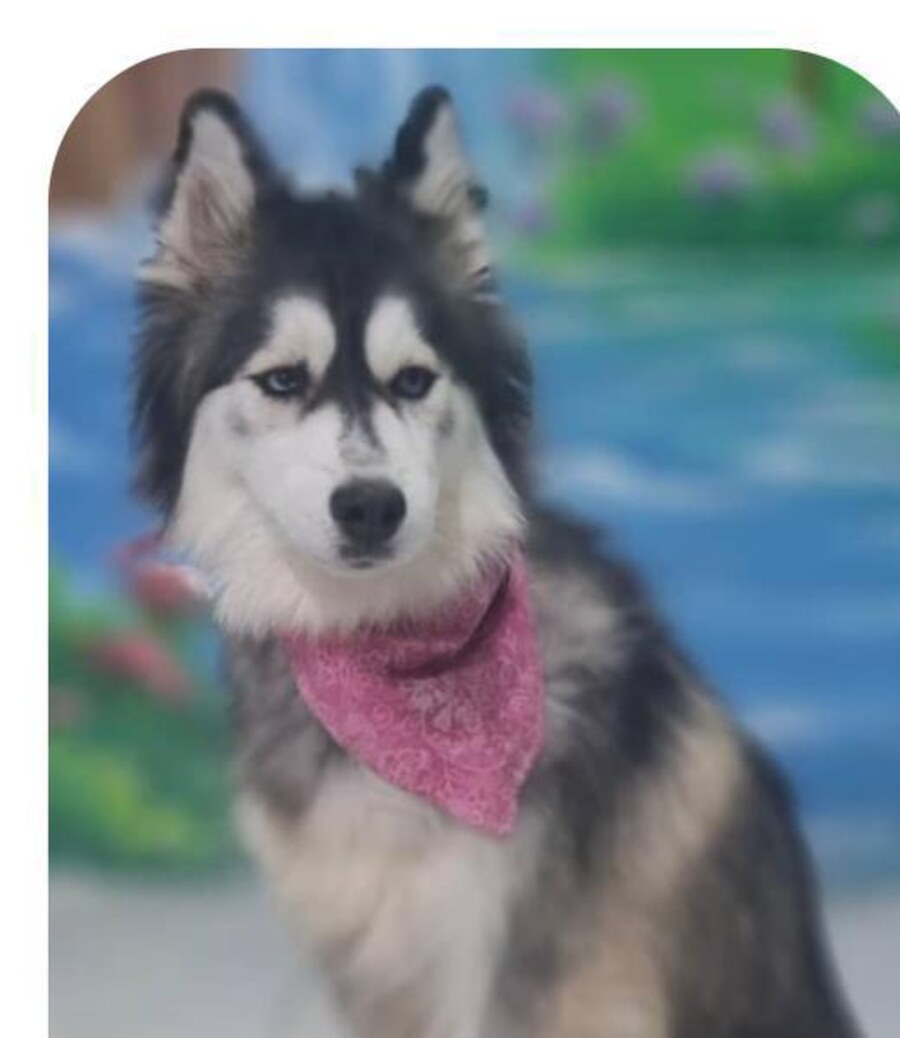 Luna
